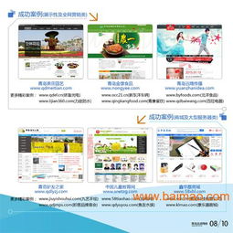 城陽(yáng)網(wǎng)站建設(shè)指南 選擇青島迅諾網(wǎng)絡(luò)，打造專業(yè)線上平臺(tái)